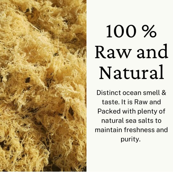 IRISH SEA MOSS (GOLD)